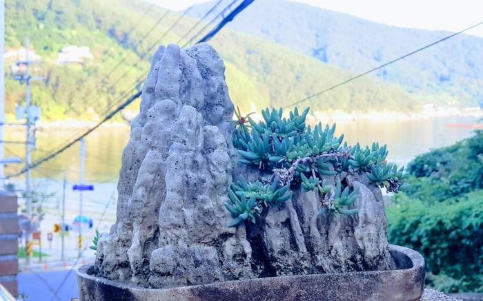 Ha-Wahyeon HOUSE (1st Floor): Beach Getaway!