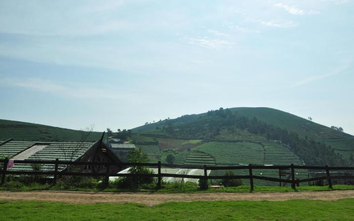 Destiny The Farm Resort