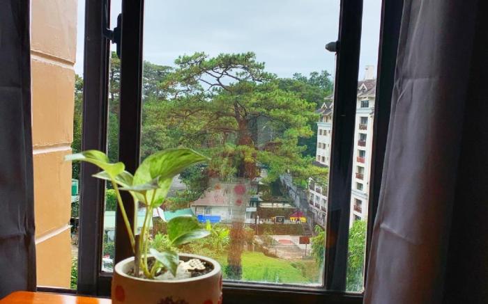 Cozynest  Condotel  Baguio