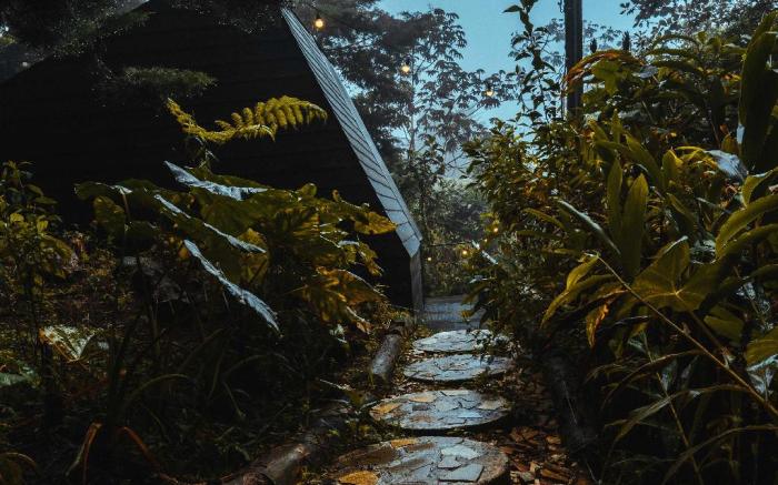 Oculto refugio de bosque