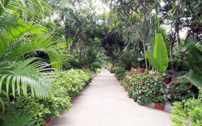 Vanam Resort