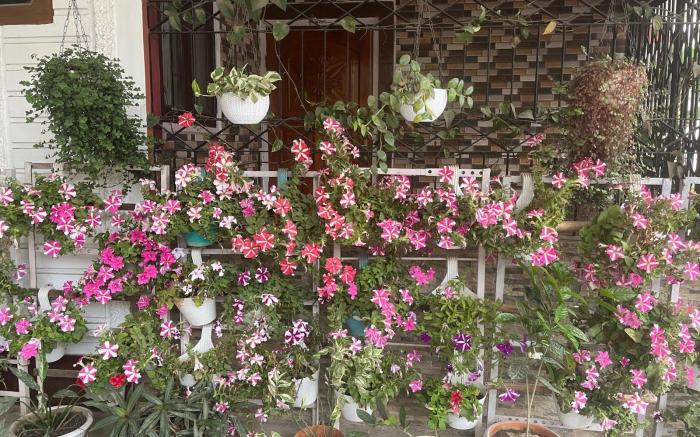 Amazing Homestay