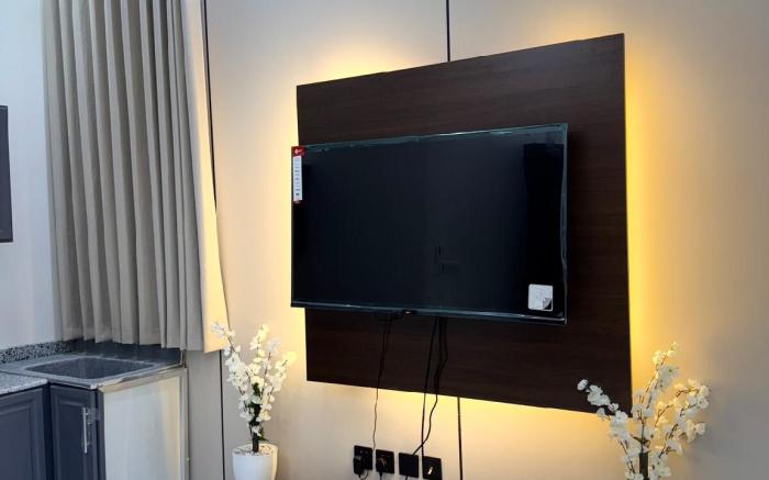 Apartment with a room and a hall vip1