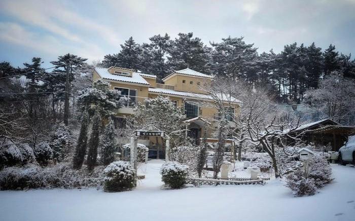 Yeongreen Pension