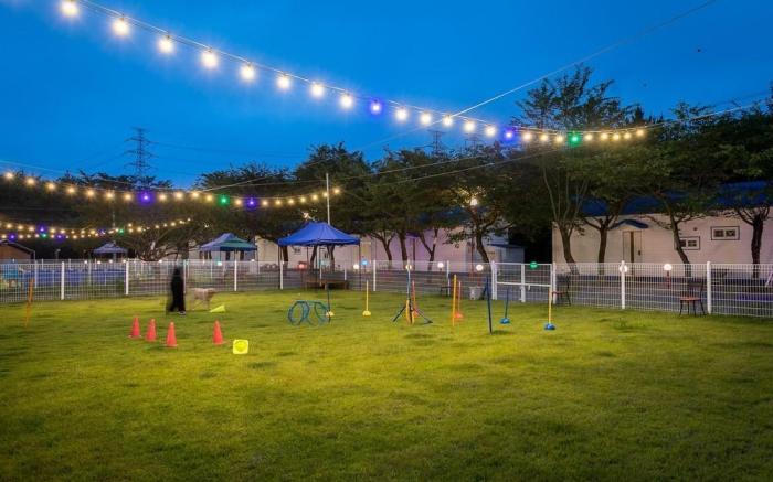 Seosan Pet & Tree Dog Glamping (Individual Barbecue)