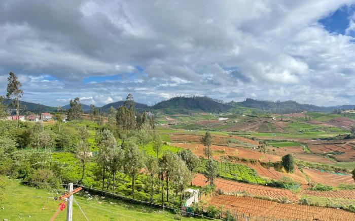 Ivy hostel ooty