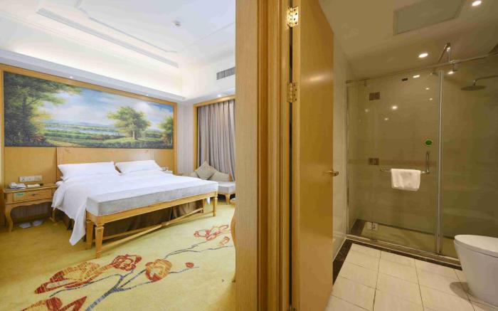 Vienna International Shanghai Hongqiao Hub Malu