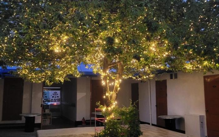 taean mammose pension