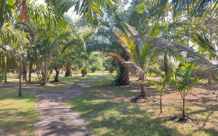 Apirata Resort
