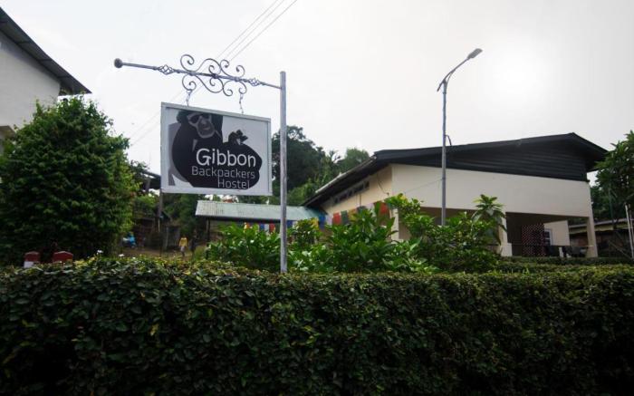 Gibbon Backpackers Hostel