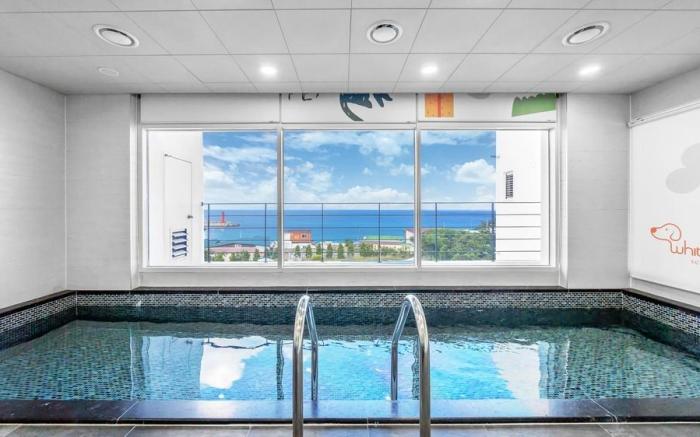 Pohang White 7 Dog Pool Villa