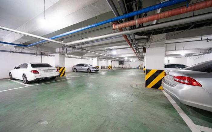 Ansan evergreen tree the gray