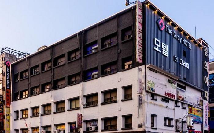 Ansan evergreen tree the gray