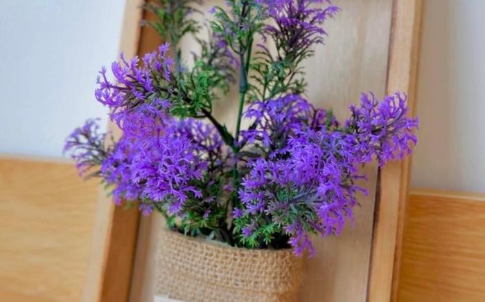 Mama Pool Villa  Private