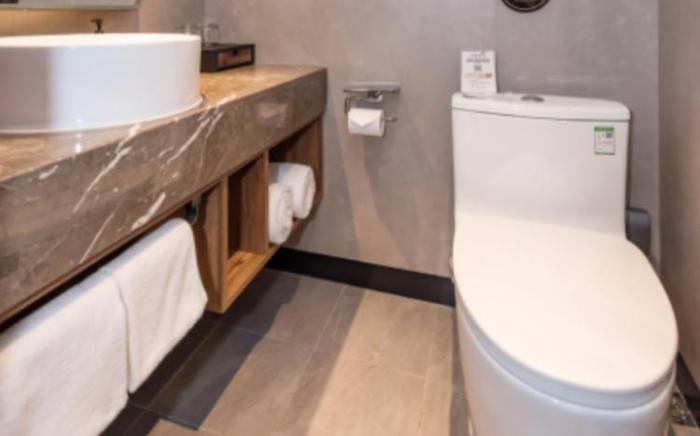 Home Inn Plus Beijing International Exhibition Sanyuanqiao