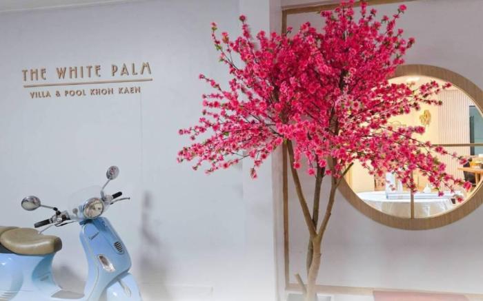 The White Palm Villa & Pool