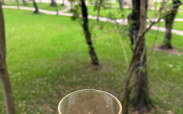 Hanoi Park House 2.1| Old Quater-Balcony Park View