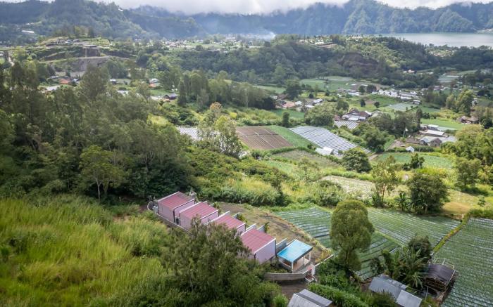 The Jungle Sunrise Private Room & Jacuzzi