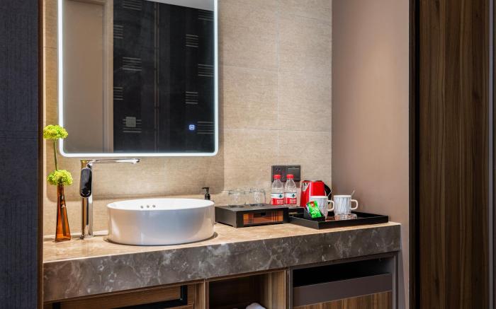 Home Inn Plus Changzhou Dinosaur Park Olympic Sports Center Shimin Plaza Metro Station