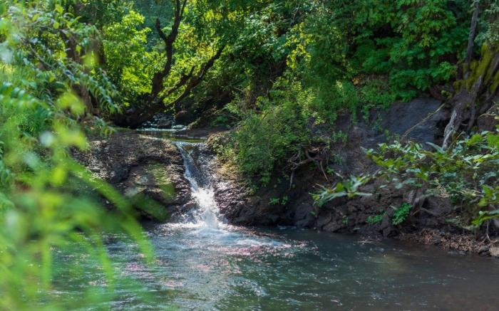 LeafyDen Forest Cottages by Nature Hill