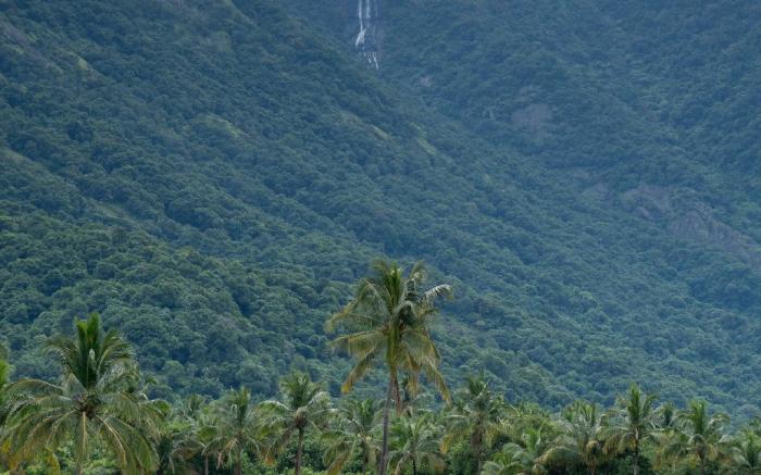 Seethavanam Farmstay at Forest Edge