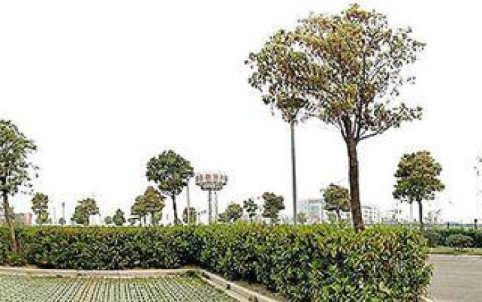 Suzhou Xinhu Scholars Hotel (Suzhou New District Station Branch)