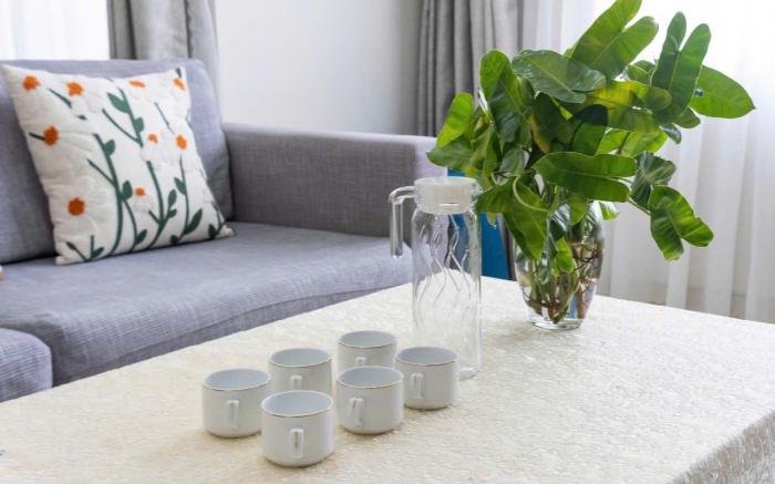 Luxury 2 bedroom City Central Hotel Apart
