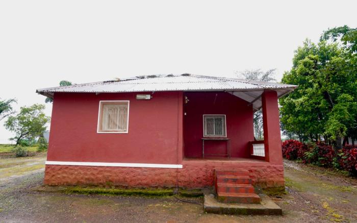 Blue Mormon Jungle Holiday Resort