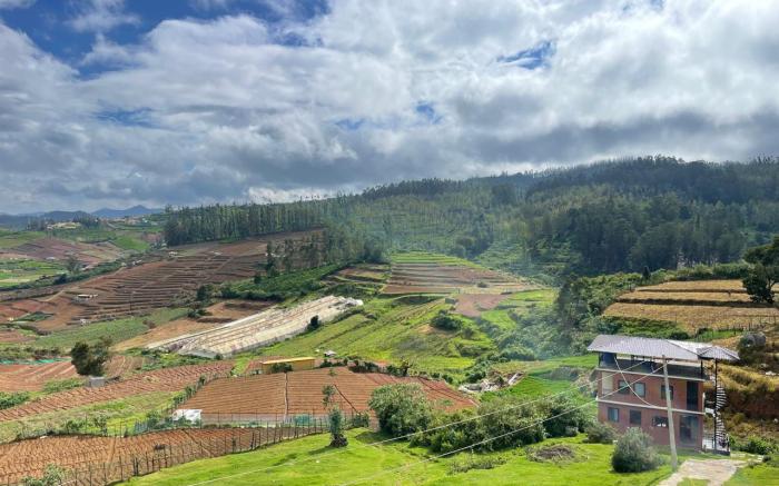 Ivy hostel ooty