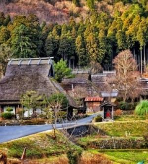 【日本旅之行】天橋立智恩寺&遊覽船&傘松公園+美山茅屋之里 一日遊