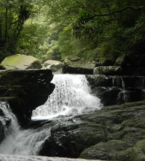 新北-滿月圓國家森林遊樂區門票全票| 平假日均可使用