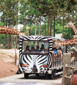 泰國-清邁夜間動物園門票Chiang Mai Night Safari