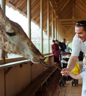 泰國-曼谷塞福瑞野生動物園門票 Safari World Ticket