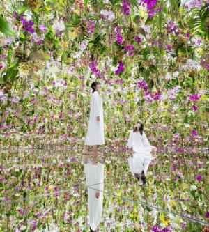 日本-東京豐洲新型態美術館 teamLab Planets TOKYO 門票