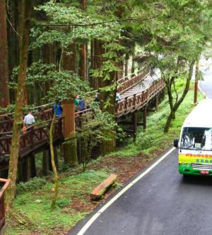 嘉義-低碳暢遊| 阿里山國家森林遊樂區門票&電動遊園車(沼平與香林線)| 國人限定