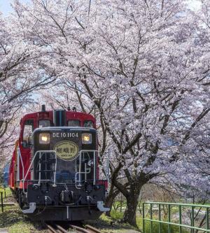 京都嵐山嵯峨野遊覽小火車| 單程電子車票