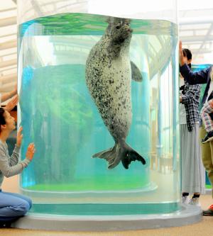 京都水族館 入場券