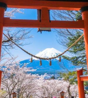 東京富士山一日遊| 淺間金鳥居大門&忍野八海&日川時計店&河口湖大石公園&河口湖| 多語言導覽| 1人成團