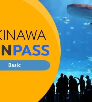 沖繩 FunPASS 4合1｜任選景點3(含美麗海)、購物  (大人)