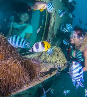 關島-魚眼海洋公園| 海底瞭望塔導覽及椰子文化秀體驗